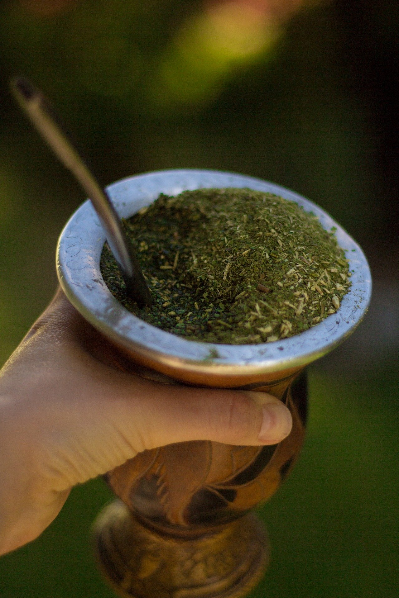 ¿El mate ayuda a prevenir el Parkinson?